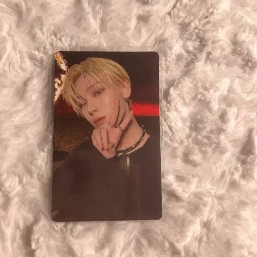 [BUNJANG] Enhypen Sunoo Photocard / 엔하이픈 선우 포카 양도