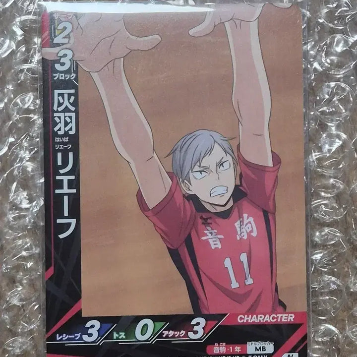[BUNJANG] Haikyu!! Haiba Riefie Card Break Volleycard / 하이큐 하이바 리에프 카드 브레이크 바보카