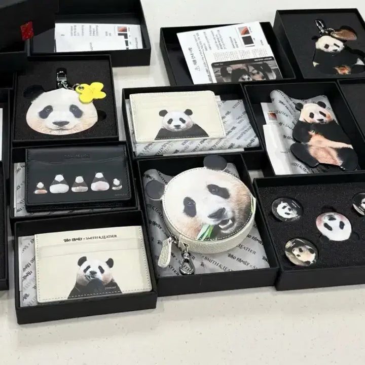 [BUNJANG] Fu Bao Bamboo Shoot Wallet Bundle Set / 푸바오 스미스 일괄판매 택포