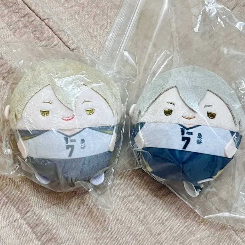 [BUNJANG] Haikyuu!! Fukurodani Konoha Fuwa Set / 하이큐 후쿠로다니 코노하 후와 세트 하이큐 후와 쿠지