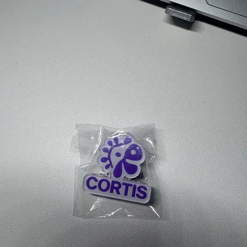[BUNJANG] Cortice Oakberry Spoon Pick Set / 코르티스 오크베리 스푼픽