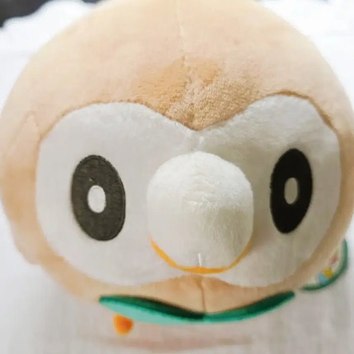 [BUNJANG] Pokemon Torchic Official Plush / 포켓몬스터 나몰빼미 포켓몬 공식 정품 인형 택o