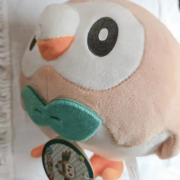 [BUNJANG] Pokemon Torchic Official Plush / 포켓몬스터 나몰빼미 포켓몬 공식 정품 인형 택o