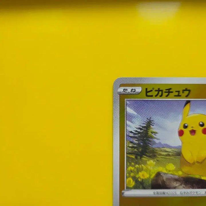 [BUNJANG] Pokemon Card Starter Deck 100 Pikachu Mirror Japanese Edition with Bonus Cards / 포켓몬카드 스타트덱 100 피카츄 미러 일본판 덤카드증정