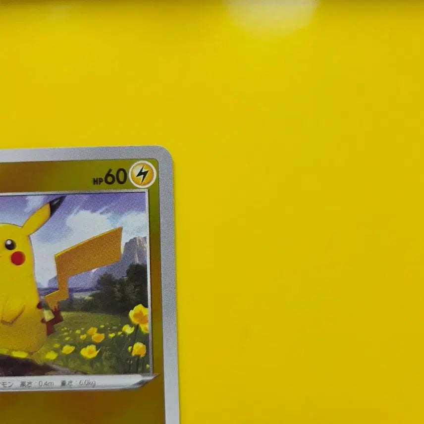 [BUNJANG] Pokemon Card Starter Deck 100 Pikachu Mirror Japanese Edition with Bonus Cards / 포켓몬카드 스타트덱 100 피카츄 미러 일본판 덤카드증정