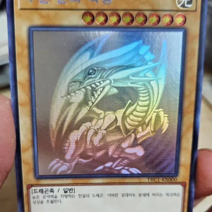 [BUNJANG] Yu-Gi-Oh! Obelisk the Tormentor (Gods) Diagonal Chic / Blue-Eyes White Dragon Holo / 유희왕 푸른눈의 백룡 홀로 팝니다