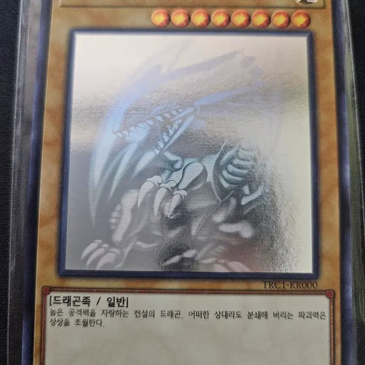 [BUNJANG] Yu-Gi-Oh! Obelisk the Tormentor (Gods) Diagonal Chic / Blue-Eyes White Dragon Holo / 유희왕 푸른눈의 백룡 홀로 팝니다