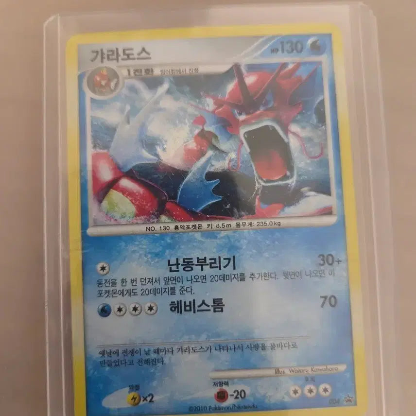 [BUNJANG] Shiny Gyarados Promo / 이로치 갸라도스 프로모