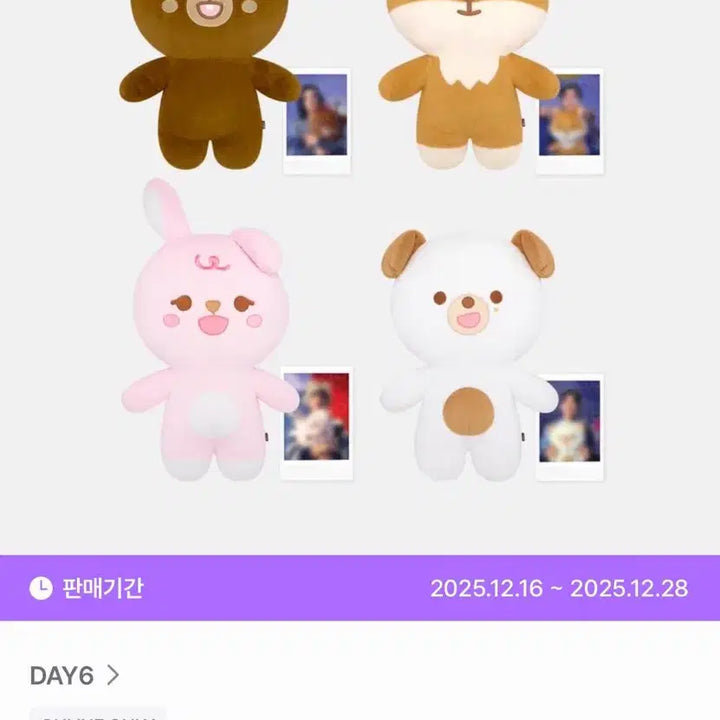 [BUNJANG] DAY6 Giant Petit Merls Don Photocard / 데이식스 자이언트 쁘띠멀즈 돈