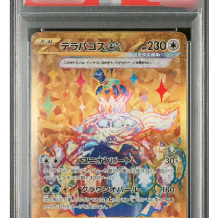 [BUNJANG] Pokemon Card TERAPAGOS ex Ultra Rare Japanese PSA 10 / 포켓몬카드 테라파고스ex 울트라레어 일판 PSA10