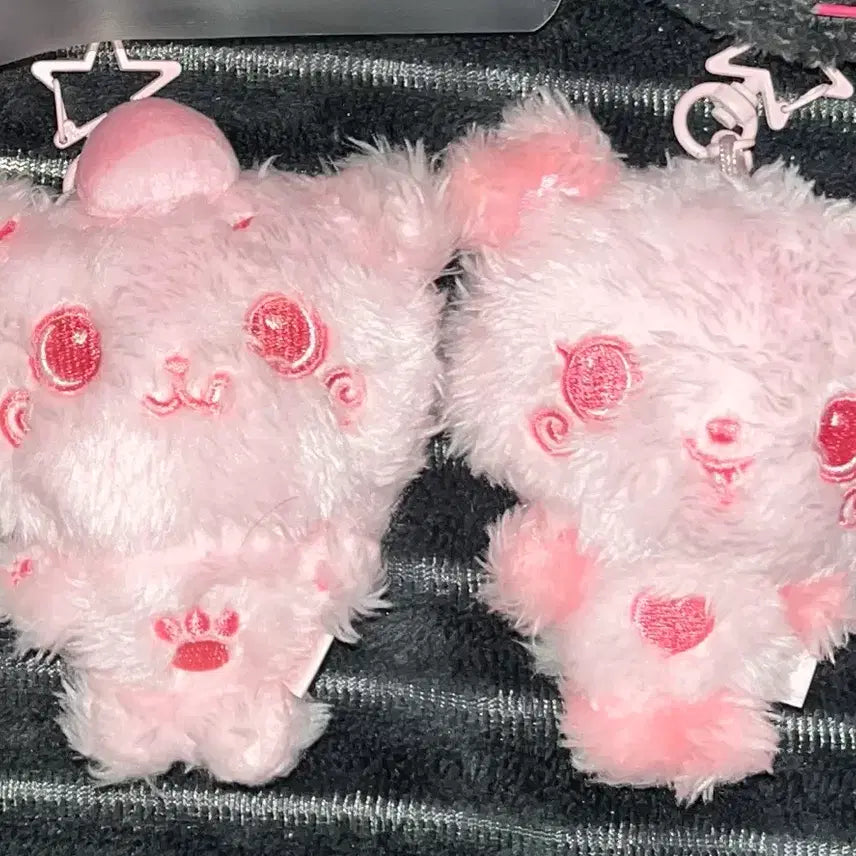[BUNJANG] Kuri &amp; Pangyi Color Wish Doll Bundle Set / 핑크 쿠리,팡이 일괄 처분