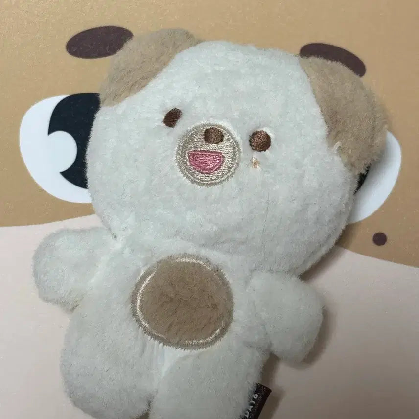 [BUNJANG] Day6 Dowoon Petit Merz / 데이식스 도운 쁘띠멀즈