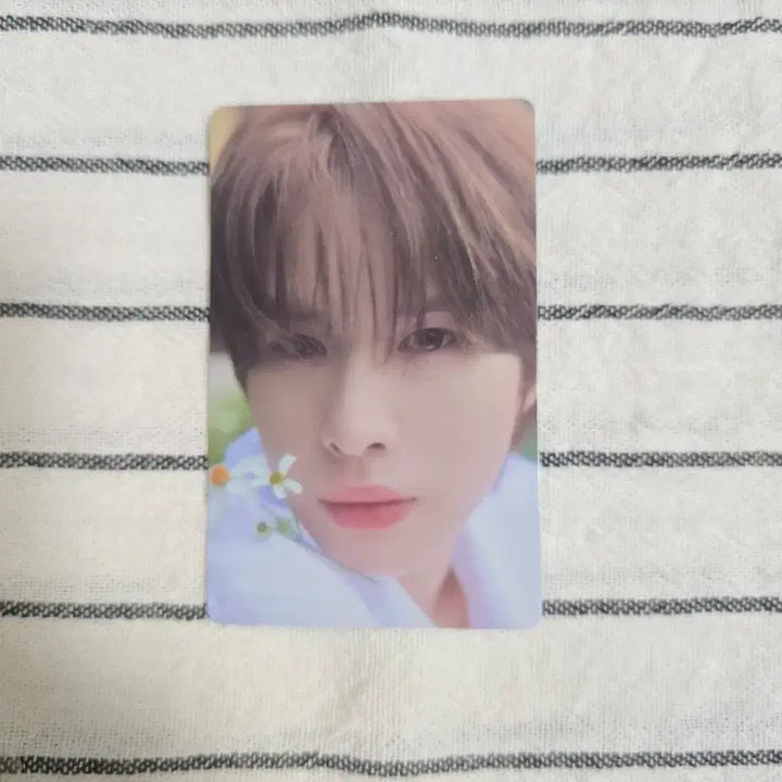 [BUNJANG] TWS Hajimemashite Japan Debut Kyungmin Photocard / 투어스 하지메마시테 일본데뷔 경민 포카