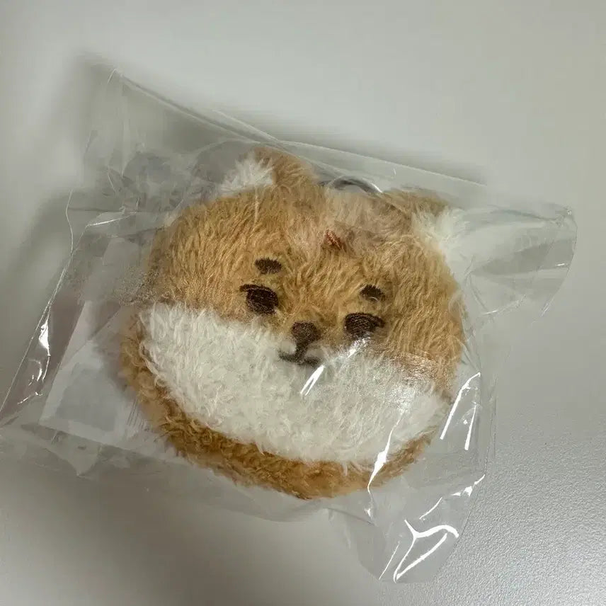 [BUNJANG] DAY6 Petit Merz Plush Backpack K Young K / 데이식스 쁘띠멀즈 쁘멀 플러시 백팩 케 영케이