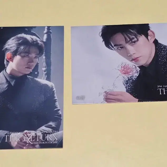 [BUNJANG] 2PM Taecyeon The Return Tokyo Dome Lucky Draw + Online Random Photocard Bundle Set / 2PM 옥택연 The Return 도쿄돔 현장쿠지 + 온라인랜덤포카