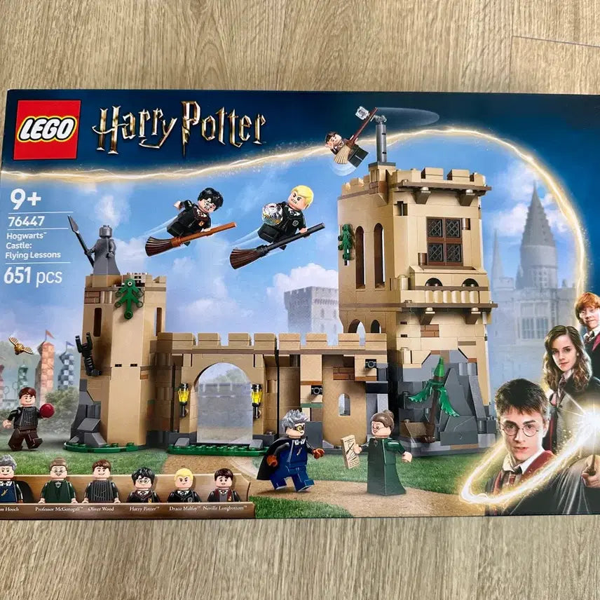 [BUNJANG] LEGO Harry Potter Hogwarts Castle: Flying Lesson (Sealed) / 미개봉) 레고 해리포터 호그와트 성 플라잉 레슨