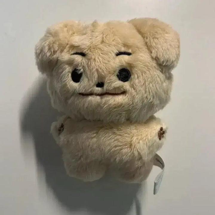 [BUNJANG] Enhypen Jake Australian Dog Plush Doll / 엔하이픈 제이크 심재윤 인형 호주개 양도합니다