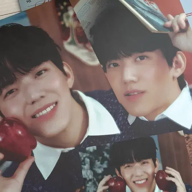 [BUNJANG] Day6 Young K Concert Photocard Set / 데이식스 클콘 도운 포토세트 정가이하