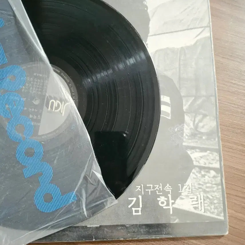 [BUNJANG] Kim Hak Rae Earth Exclusive 1st Album LP / 김학래 지구전속 1집 LP 음반