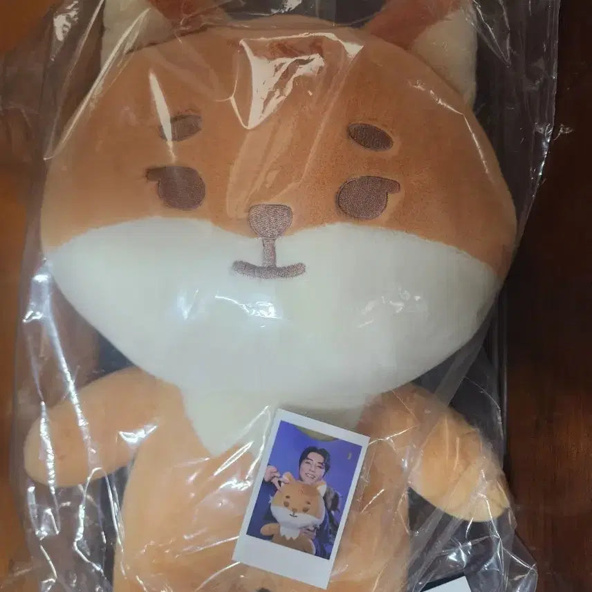 [BUNJANG] DAY6 Kyoung-youn Denimals Giant Petitmals Doll (Sealed) / 미개봉 자쁘멀 자이언트 쁘띠멀즈 케 영케이 데이식스 데니멀즈