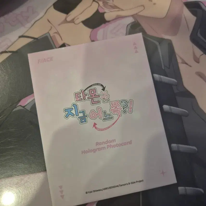 [BUNJANG] Tammon-gun Popup Photocard Unsealed / 타몬군 지금 어느쪽 팝업 포카 미개봉 판매