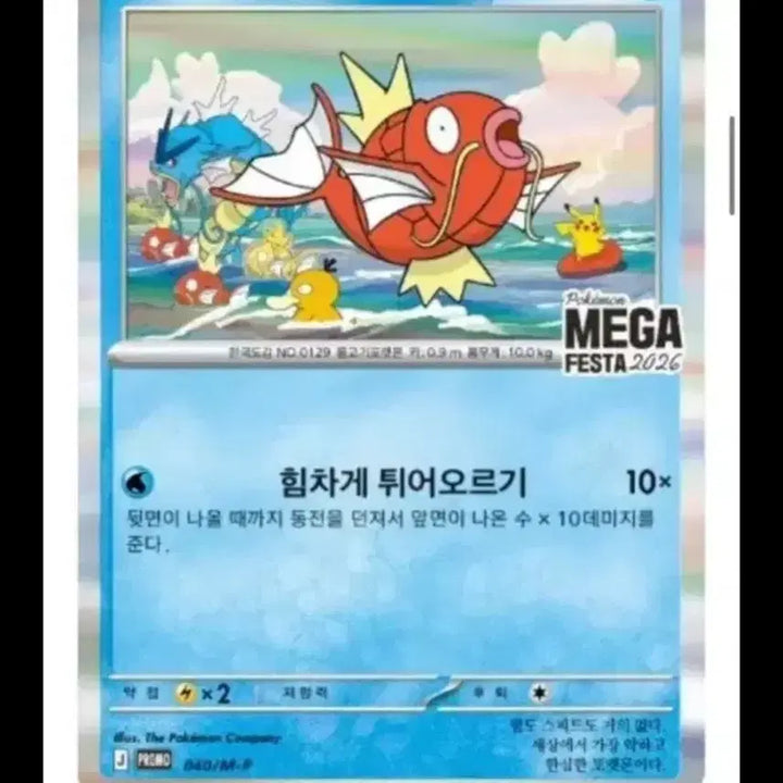 [SOLD OUT] (매입) 포켓몬 잉어킹 메가페스타 2026  프로모 카드 구매