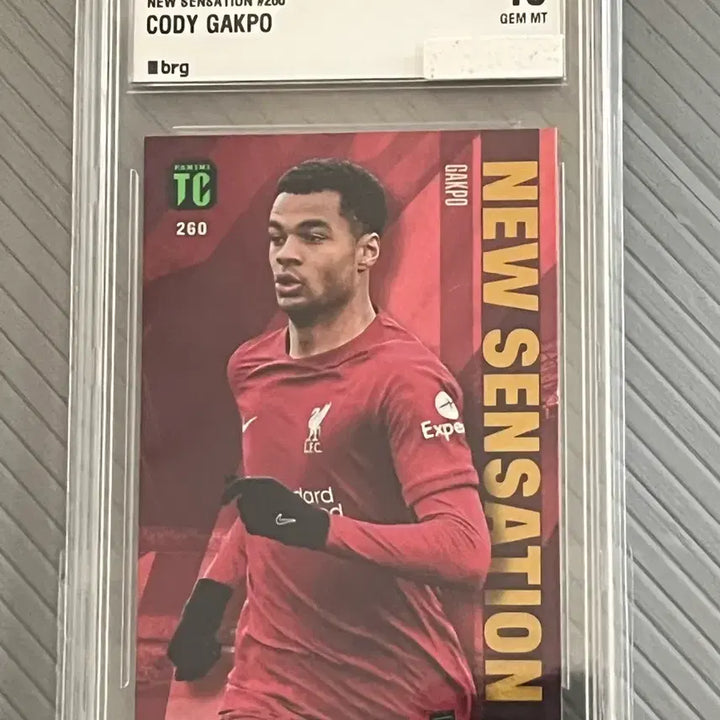 [BUNJANG] 2023 Top Class New Sensation Cody Gakpo Gem MT 10 Graded Card / 2023 Top Class New Sensation 코디 각포 BRG10