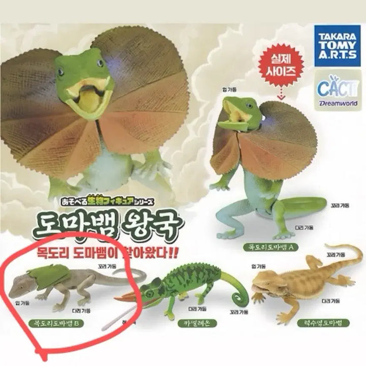 [BUNJANG] Lizard Kingdom Gacha Figure - Frilled Lizard B Type (Opened Capsule) / 도마뱀 왕국 가챠 캡슐개봉품팝니다. 목도리도마뱀b