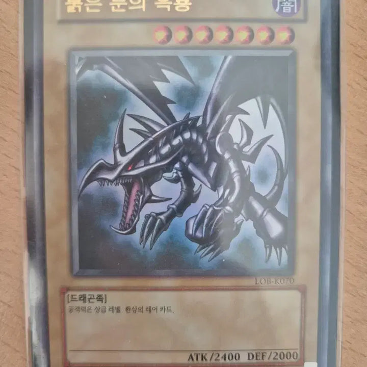 [BUNJANG] Red-Eyes Black Dragon LOB-K070 + Kuriboh Card / 붉은 눈의 흑룡 카드 LOB-K070+크리보