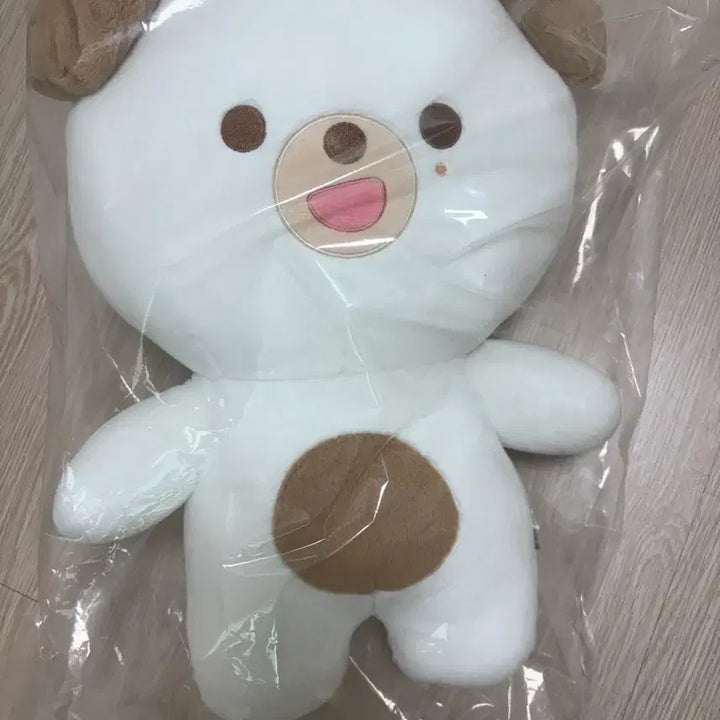 [BUNJANG] DAY6 Dowoon Petit Merz Giant Photocard Holder (Sealed) / 데이식스 도운 쁘띠멀즈 자이언트 미개봉