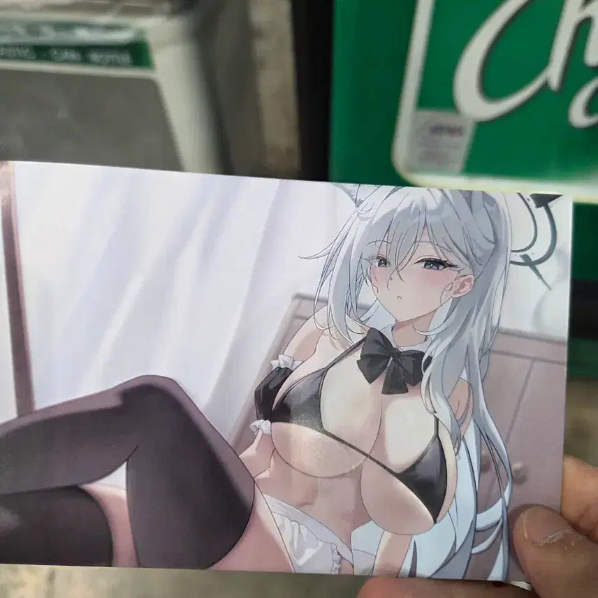[BUNJANG] Kuroko Photocard / 쿠로코 포토카드