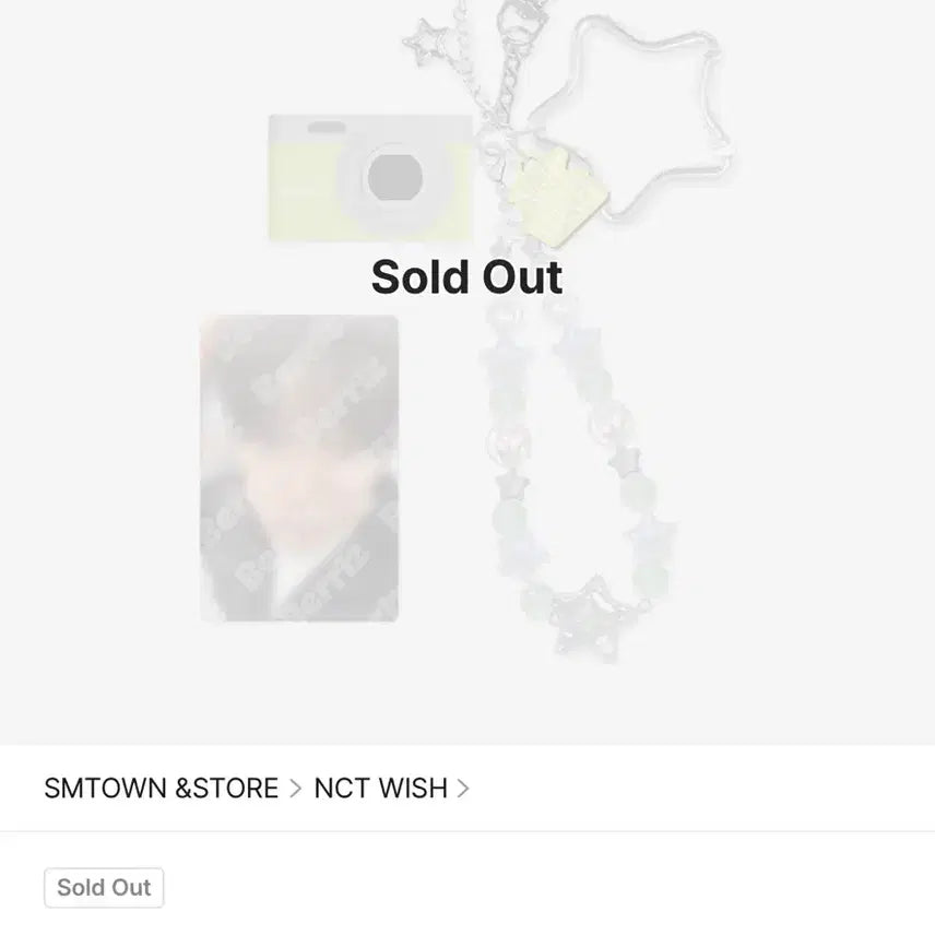 [SOLD OUT] (정가양도)엔시티위시 마이크로카메라 세트 리쿠