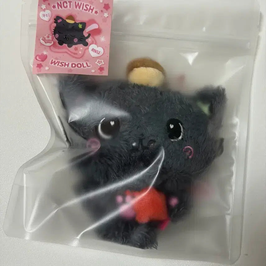 [BUNJANG] Wishdoll Kuri Doll / 위시돌 쿠리