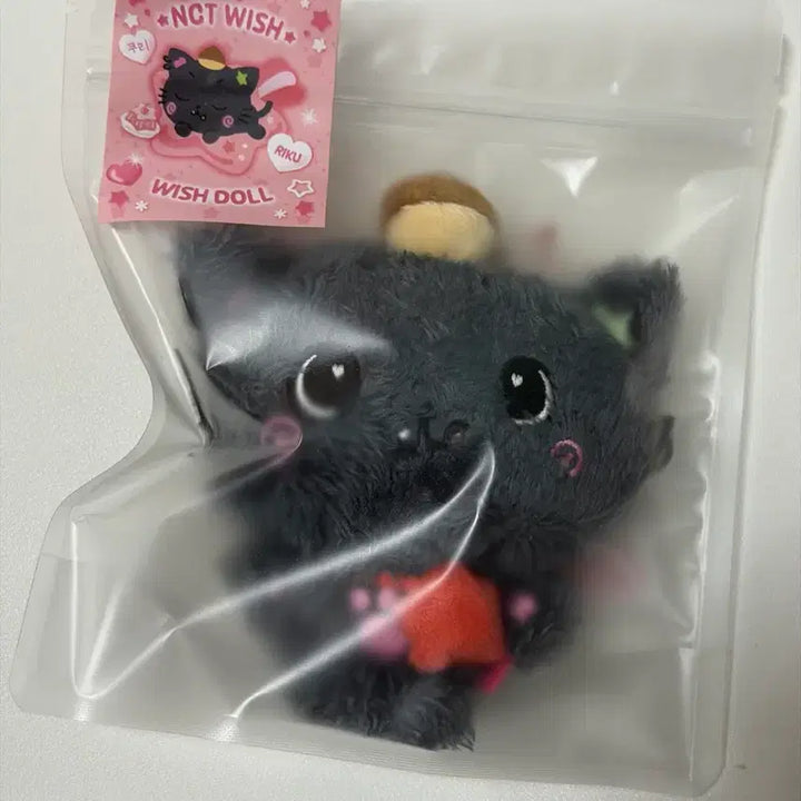 [BUNJANG] Wishdoll Kuri Doll / 위시돌 쿠리