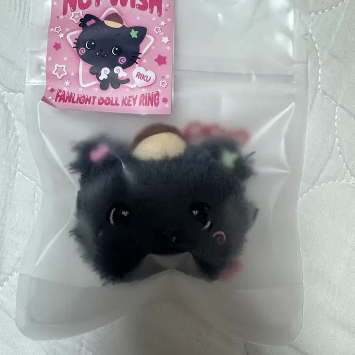 [BUNJANG] Kuri Fanlight Mini Doll Keyring / 쿠리 팬라이트 미니돌키링 미개봉 새상품