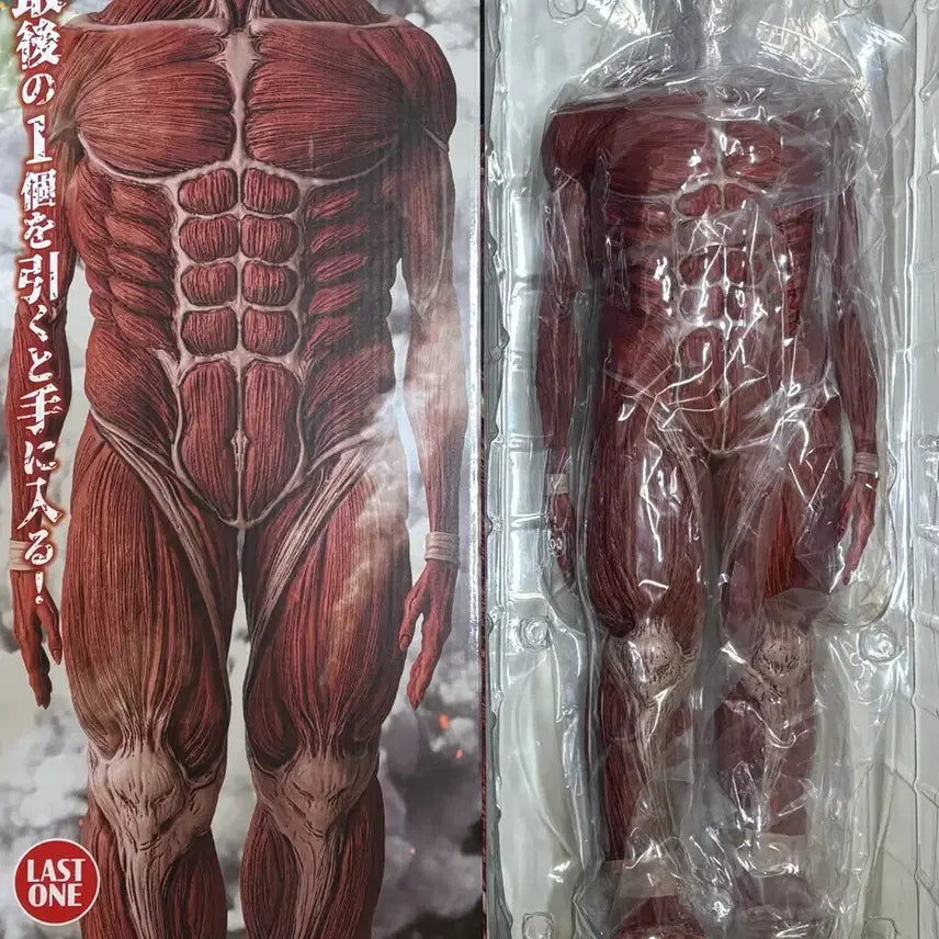 [BUNJANG] Attack on Titan Last One Prize Super Large Titan Figure / 진격의 거인 진격거 쿠지 제일복권 라스트원 초대형 거인 피규어