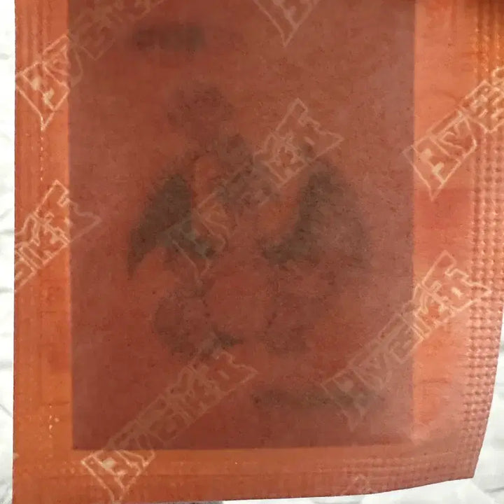 [BUNJANG] Sealed Charizard 30th Anniversary Sticker / 미개봉 리자몽 띠부실