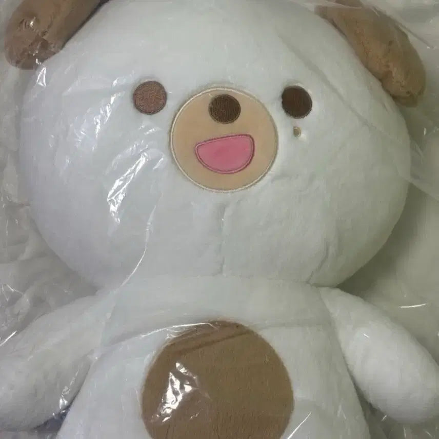 [BUNJANG] DAY6 Giant PetitMals Don Ver. Plush Doll / 자쁘멀 자쁘돈 데이식스 자이언트 쁘띠멀즈 도운 인형
