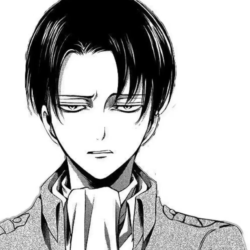 [BUNJANG] Attack on Titan Levi Random Box Anime Merchandise / 진격의거인 진격거 애니 랜박 리바이