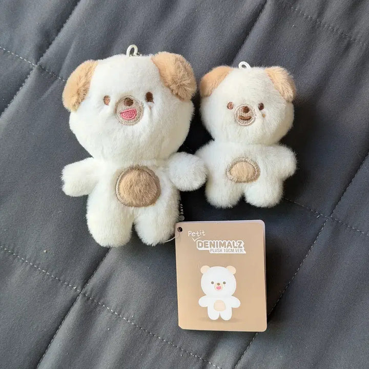 [SOLD OUT] 데이식스 도운 쁘쁘멀 쁘멀 일괄 양도 원가 이하