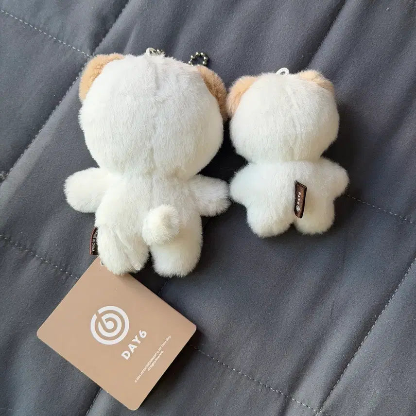 [SOLD OUT] 데이식스 도운 쁘쁘멀 쁘멀 일괄 양도 원가 이하