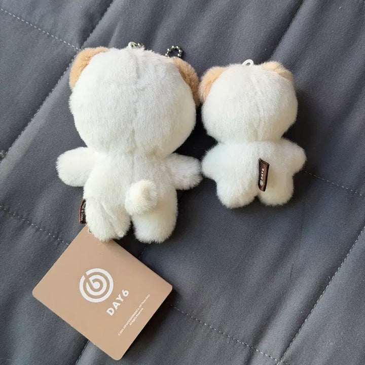 [SOLD OUT] 데이식스 도운 쁘쁘멀 쁘멀 일괄 양도 원가 이하