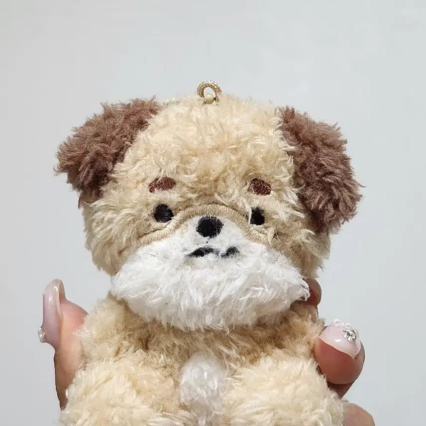 [SOLD OUT] 데이식스 도운 데니멀즈 돈 DON 앉은돈이 원가이하 양도