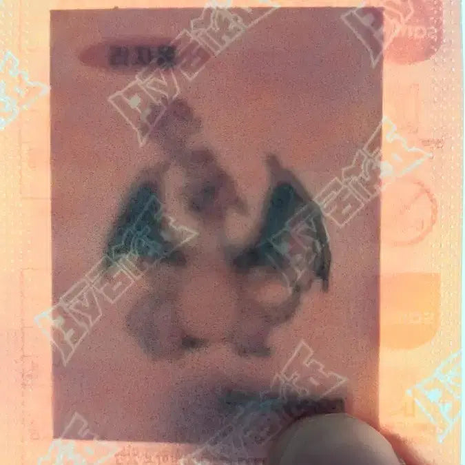 [BUNJANG] Charizard First Edition Illustration Sticker / 리자몽 초판일러 띠부씰 미개봉