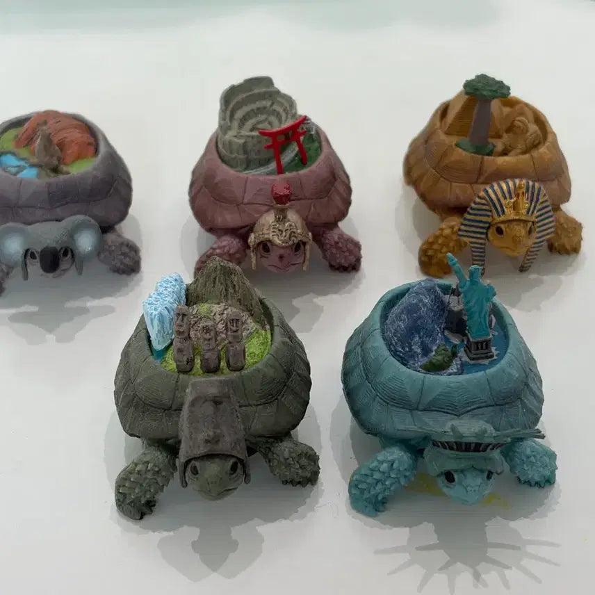 [BUNJANG] Continent Turtle Set Type 1 (5 items) / 대륙 거북이 1탄 5종 일괄