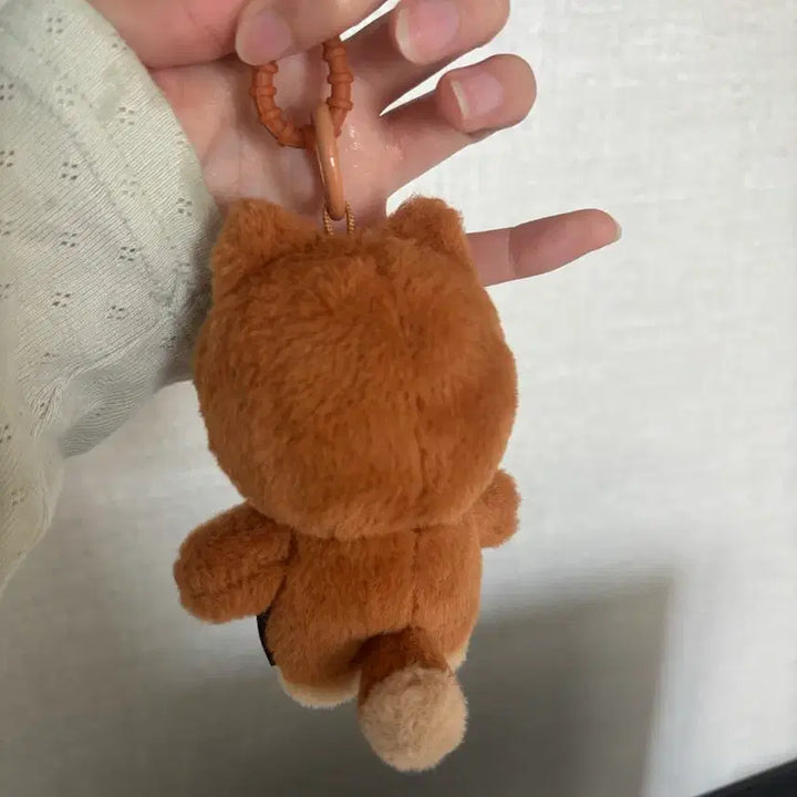 [BUNJANG] DAY6 Young K Petit Merz Tanning Petit Merz / 선글라스 X 데이식스 테닝 쁘띠멀즈 케 테닝쁘멀 테닝멀즈 영케이