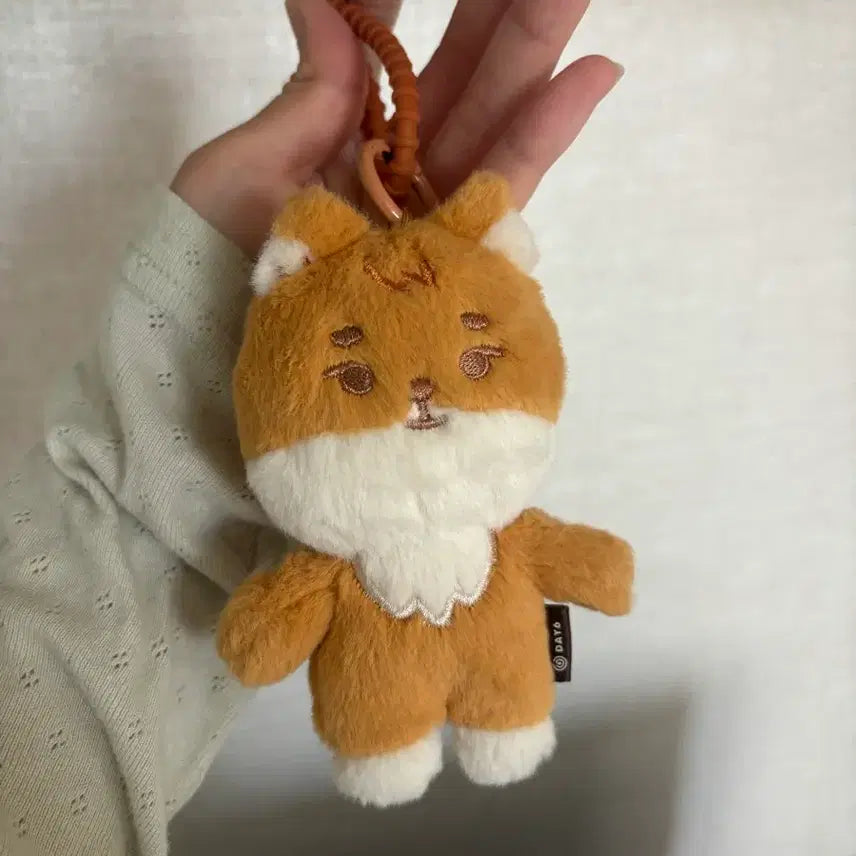 [BUNJANG] Day6 Petit Merz Keyring Young K (Tanning Version) / 테닝멀즈 군번줄 포함 데이식스 쁘띠멀즈 케