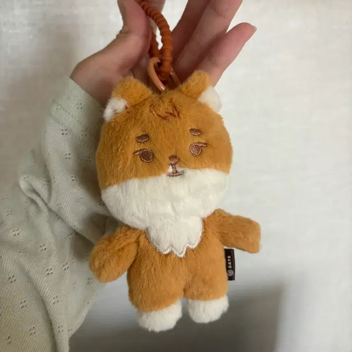 [BUNJANG] Day6 Petit Merz Keyring Young K (Tanning Version) / 테닝멀즈 군번줄 포함 데이식스 쁘띠멀즈 케