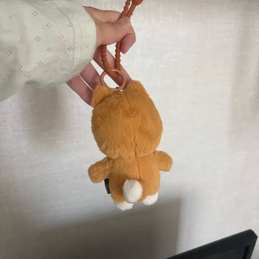[BUNJANG] Day6 Petit Merz Keyring Young K (Tanning Version) / 테닝멀즈 군번줄 포함 데이식스 쁘띠멀즈 케