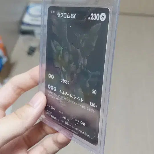 [BUNJANG] Pokemon Card Black Kyurem BWR / 포켓몬카드 블랙볼트 제크로무BWR 예약
